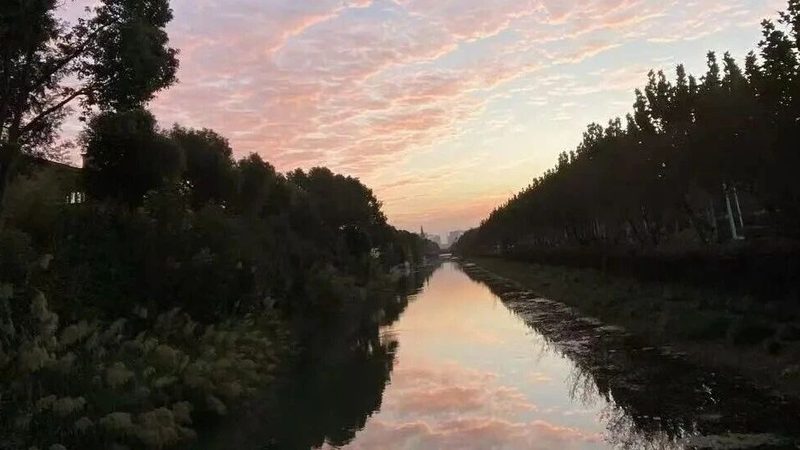 有限公司营业执照代办：流程揭秘与费用解析**